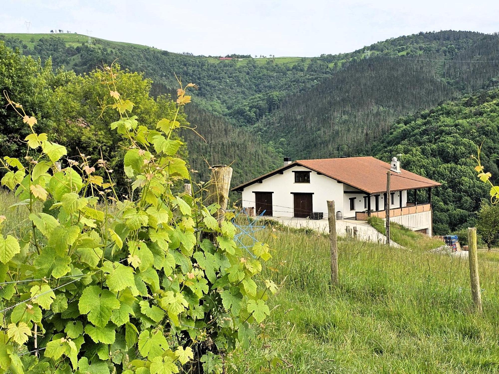 Arbela Apartamentuak Aia Kültér fotó